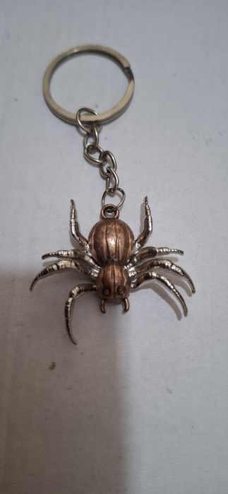 Брилок паук.  Паук