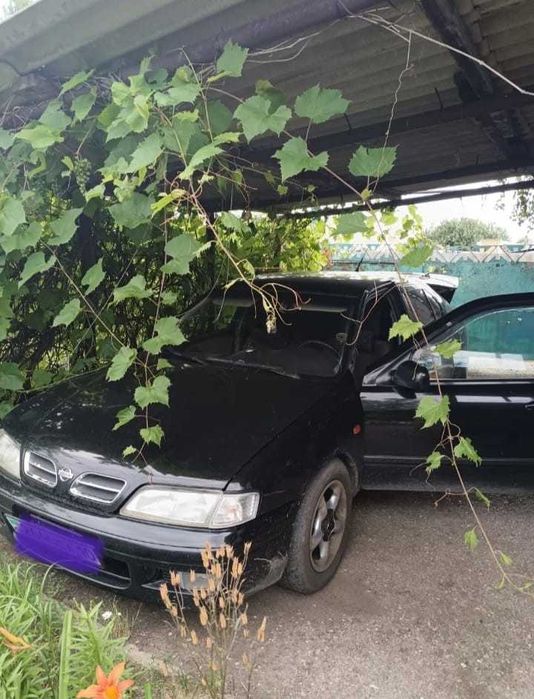 Продажа дачи СО Дархан