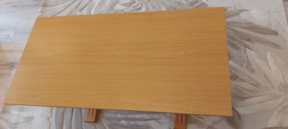 Холна маса 60/120 см