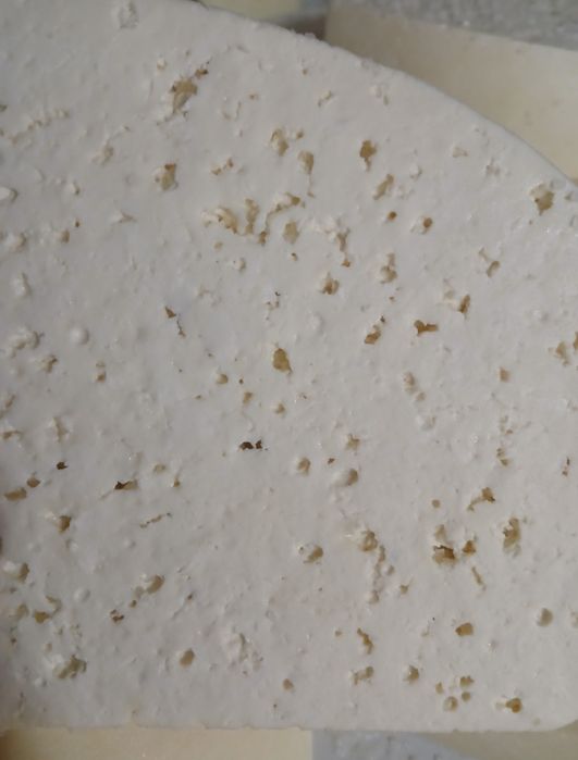 Caș de oaie dulce sau sărat