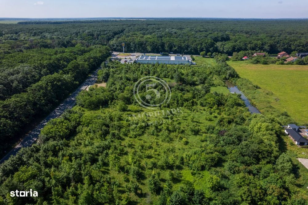Teren 5.515 mp langa Lidl Snagov – Iesire la Lacul Snagov