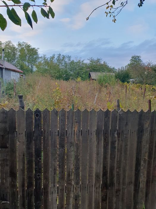 Teren intravilan comuna movilita