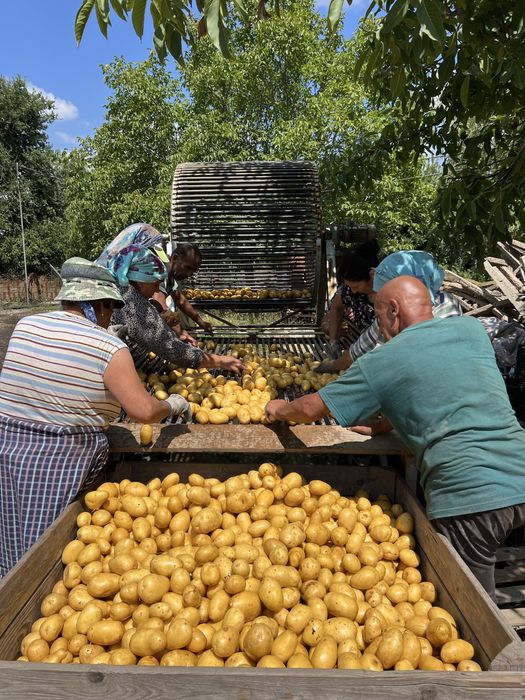 Машина за миене на картофи