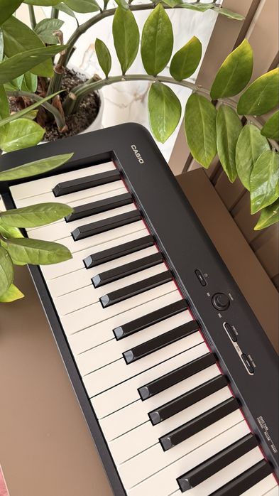 Синтезатор Casio CDP-S110