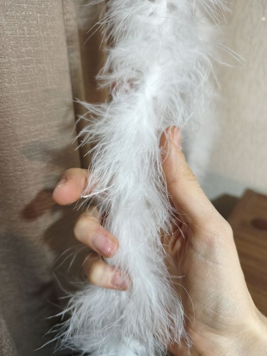 Перья на ленте страусиные