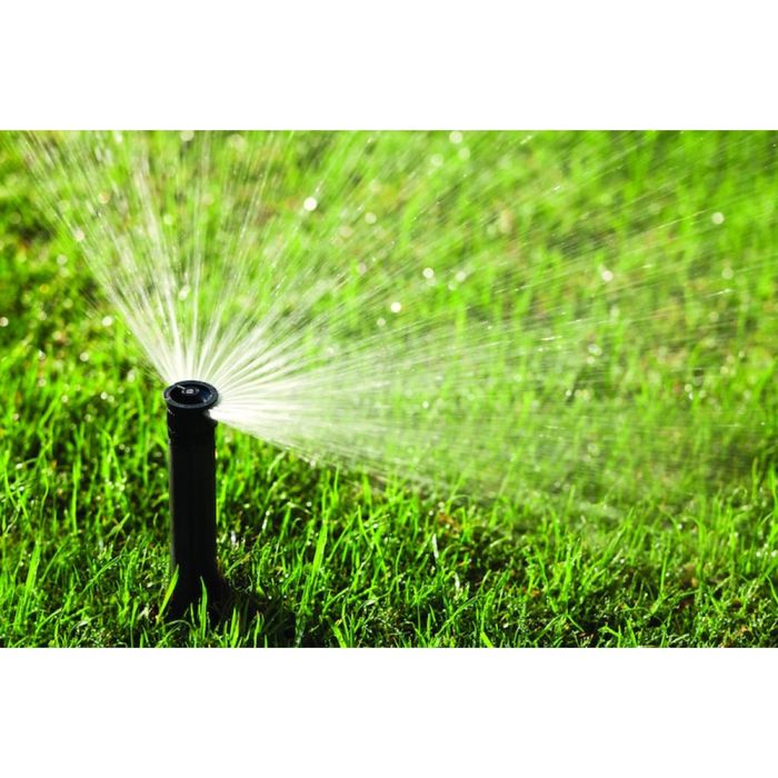 Полиф фонтан мексиканка Hunter