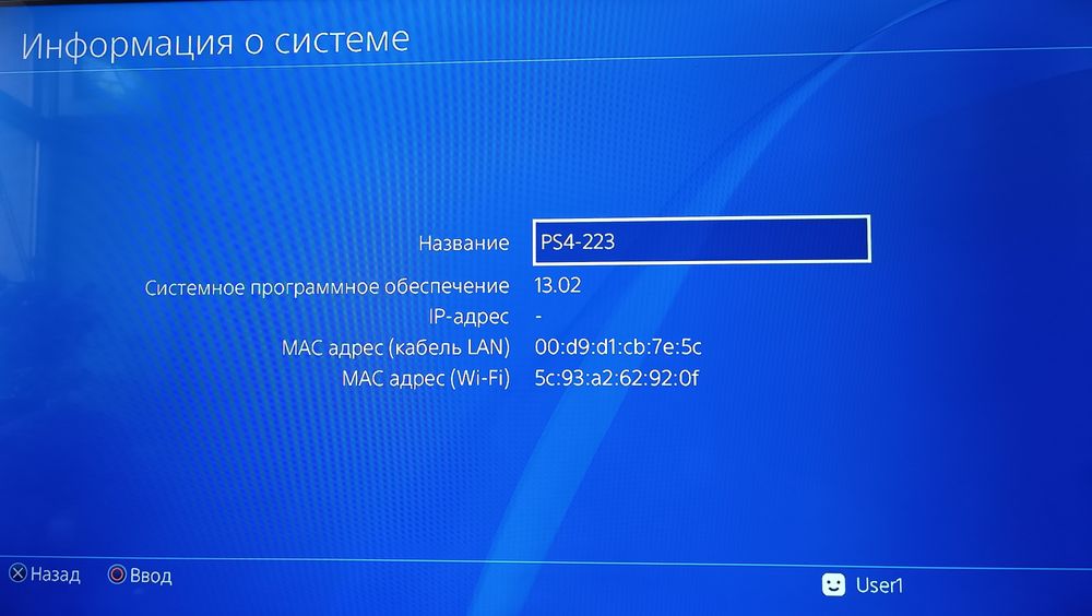 Sony PlayStation 4 FAT | Оригинал