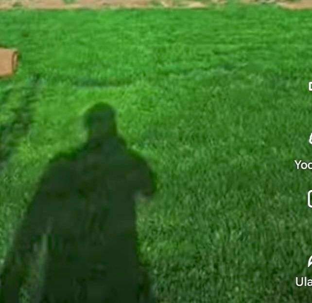 Gazon lanshat  kesish