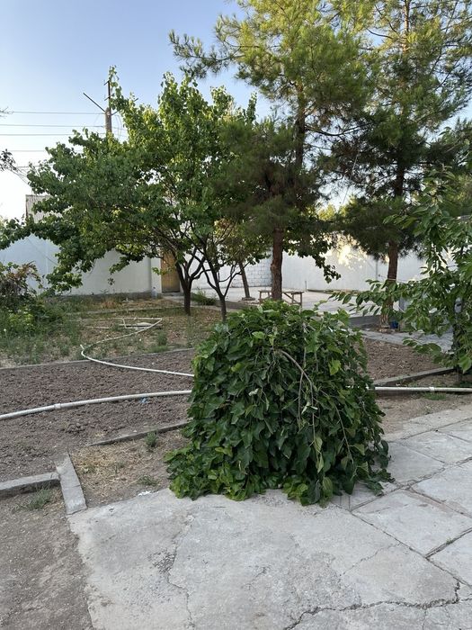 Продается дача на кибрае(мичурин)около  большой  реки