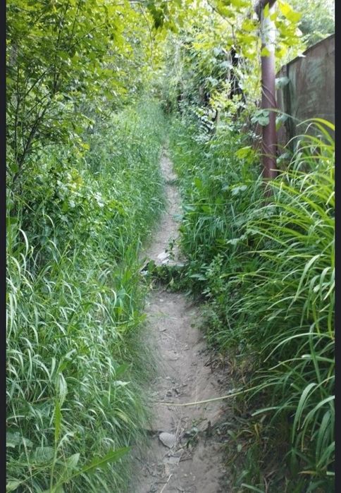 Продам дачу в кенсайе