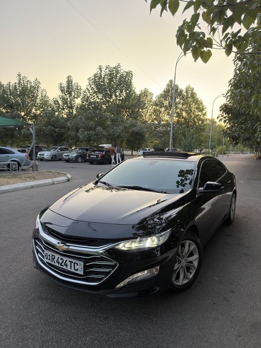 Malibu 2 primer 2022