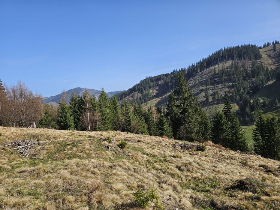 Teren de vanzare partial intravilan in Bucovina Pojorata Transrarau