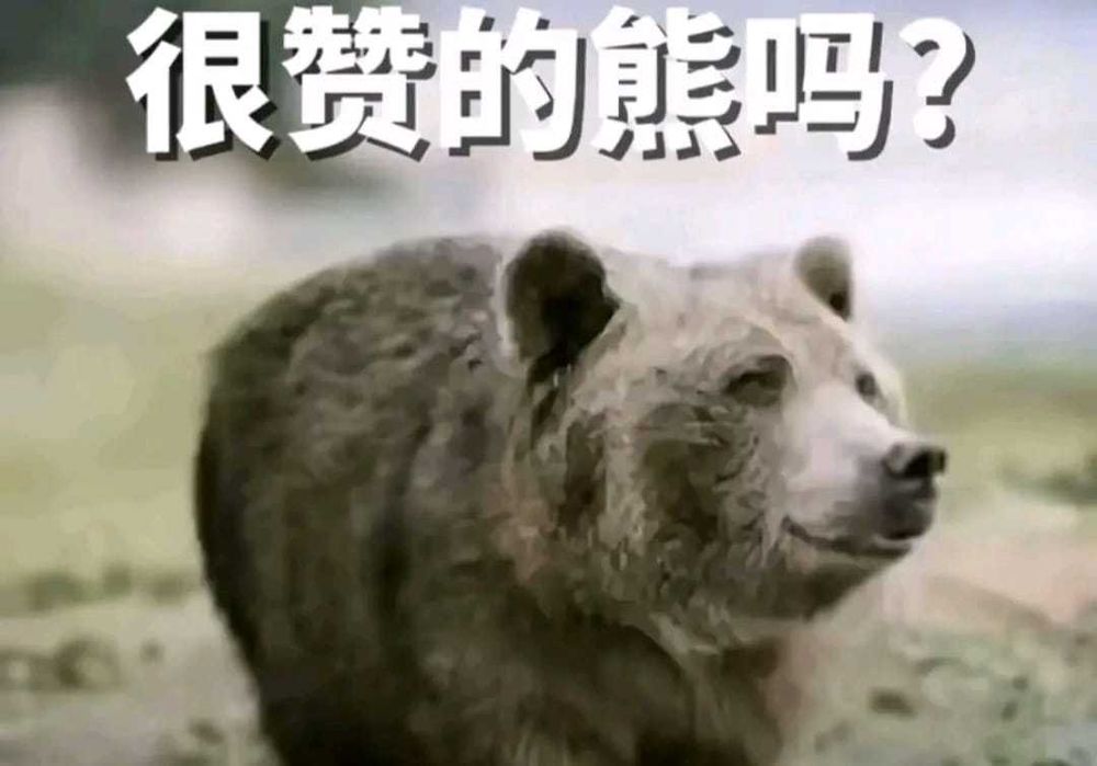 Продам мониторчик для селфи