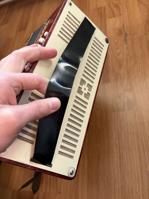 Acordeon Malysh de adolescenți !