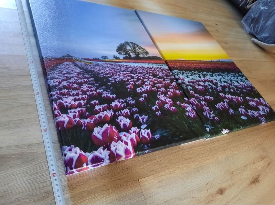 2 картины в гостиную за 8 тысяч.