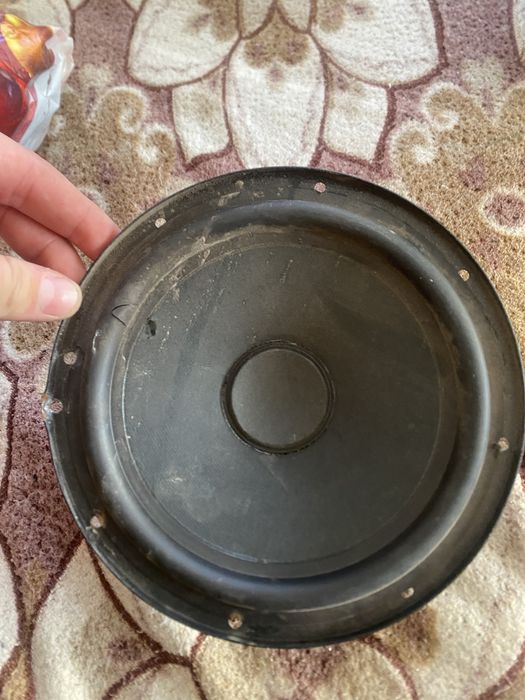 Прайды в нормалоном состояние