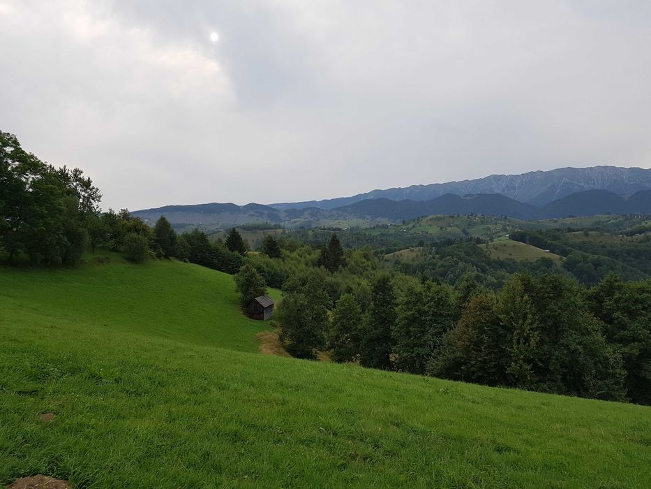 Teren Drumul Carului 3.8 ha