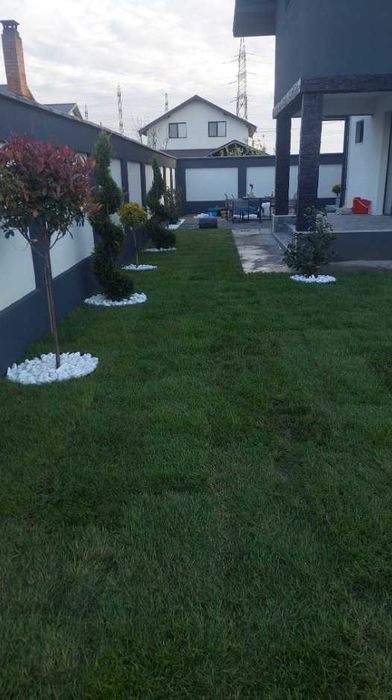 Gazon Premium Rezistent pentru Grădini și Spații Verzi