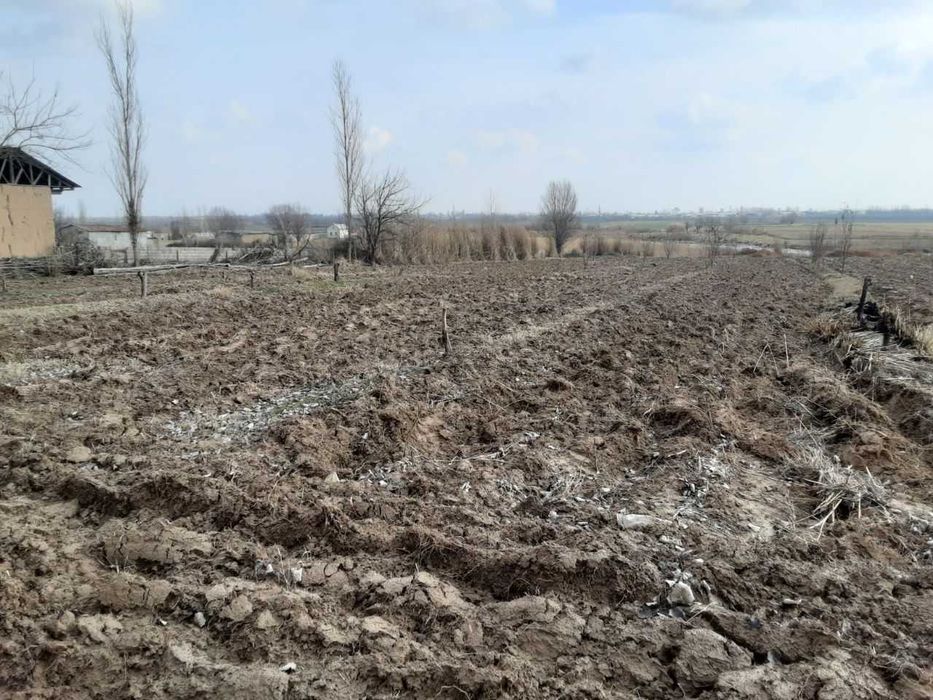 Дала ховли учун ажратилган 18 сотих ер майдони сотилади.