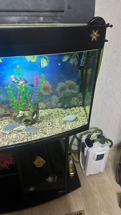 Аквариум 200 литров