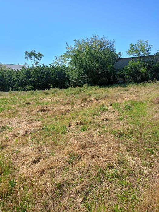 Privat vinde gospodărie în Schela jud. Galați