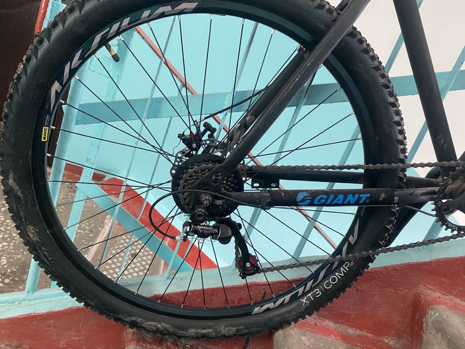 Giant atx велик нормальный