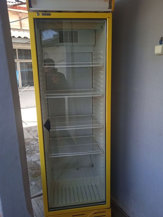 Xonadilnik stayashiy