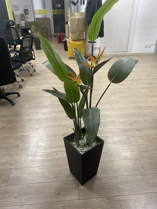 Продаем искуственные растения цветы дерево