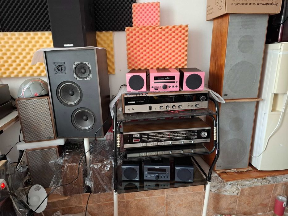 Розова принцеса-yamaha crx-040