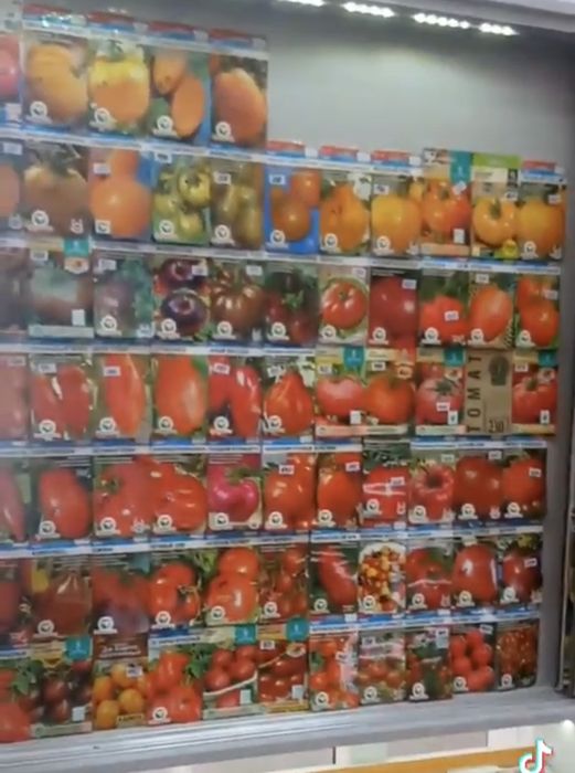 Продам семена разные по цене закупа