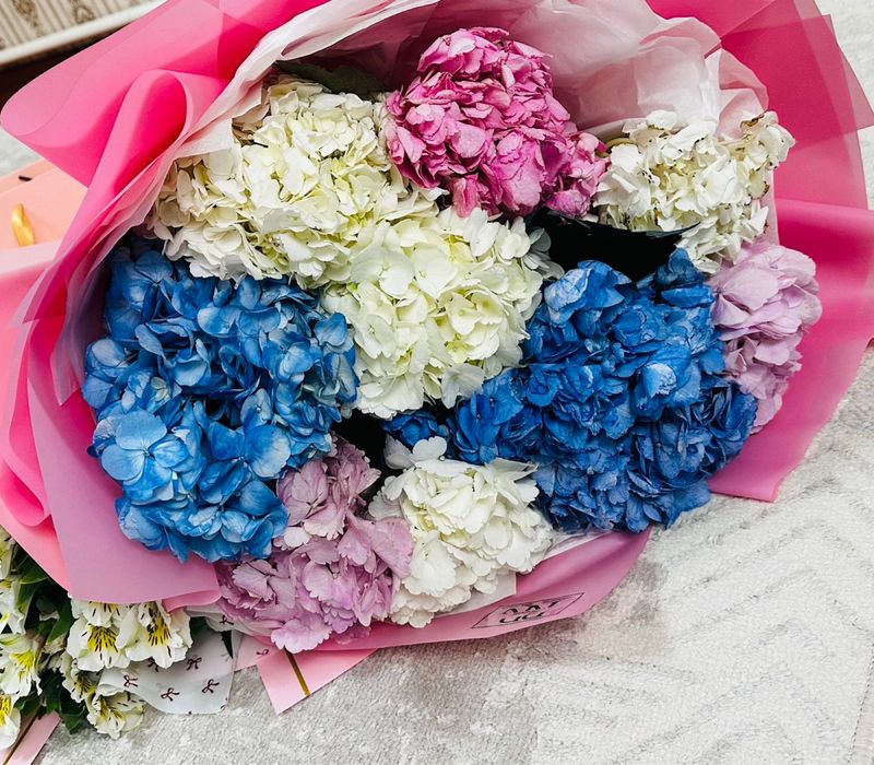 гортензии и альстромерия