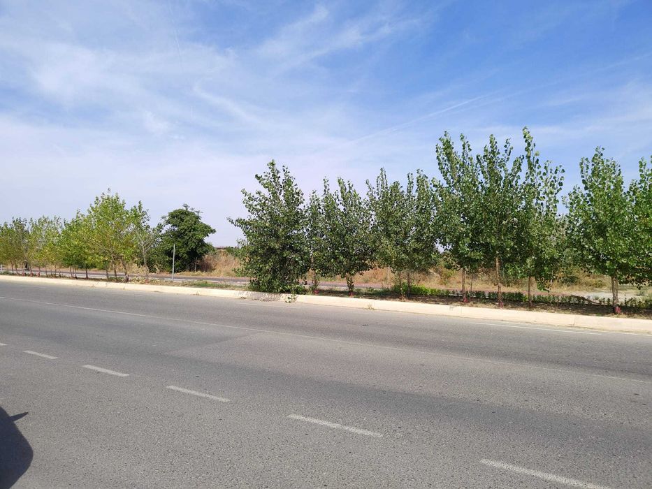 Proprietar Drumul Lunca Cetății 2400 mp (Paralel Splai) sau Închiriere