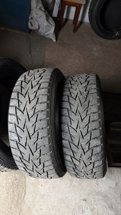 Зимняя резина NEXEN R19