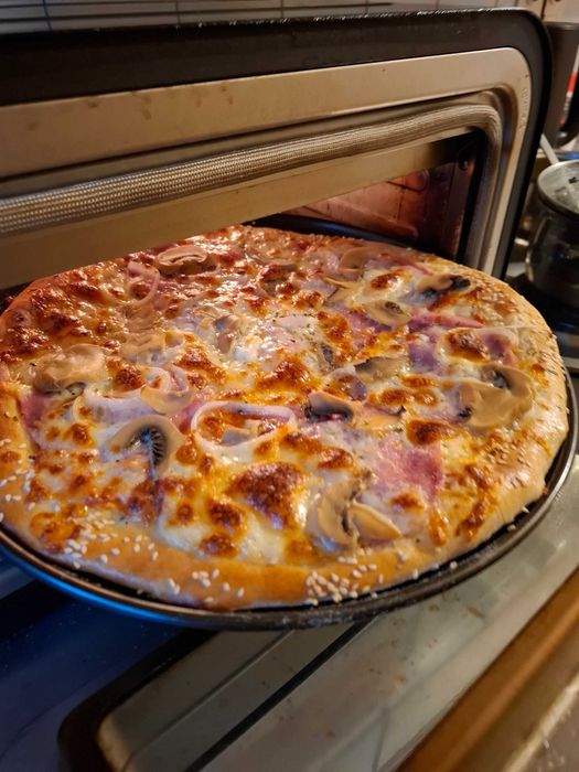 Cuptor pizza Biovita