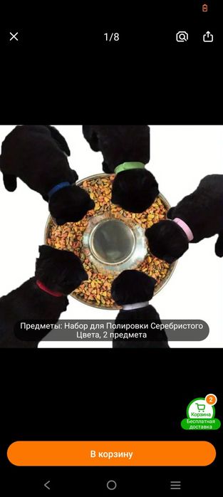 Миска для собак.