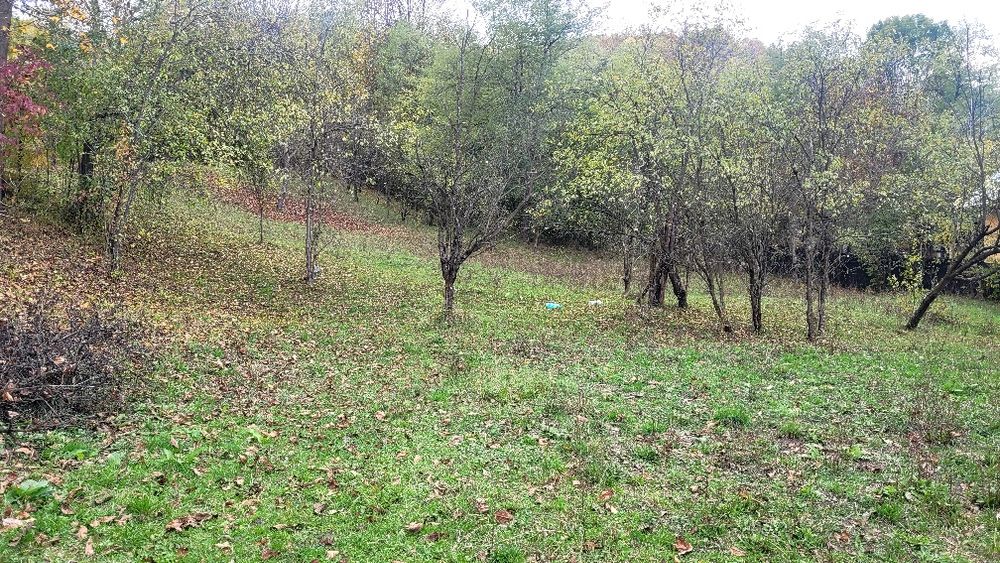 Teren intravilan Provita de jos
