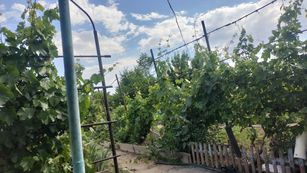 Продам ухоженную дачу