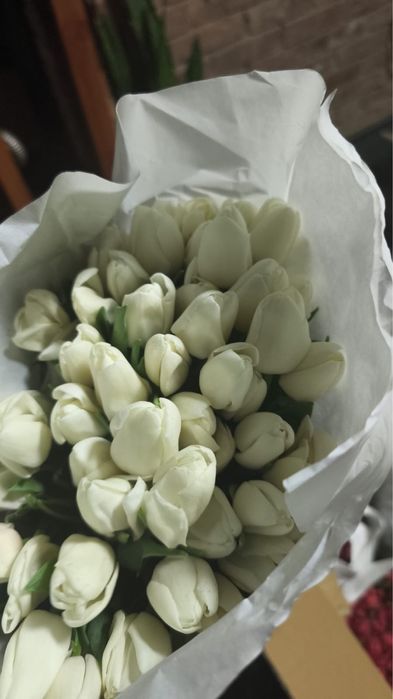Продам Тюльпаны Алмата