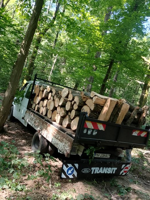 vănd lemne de foc transport in tot județul