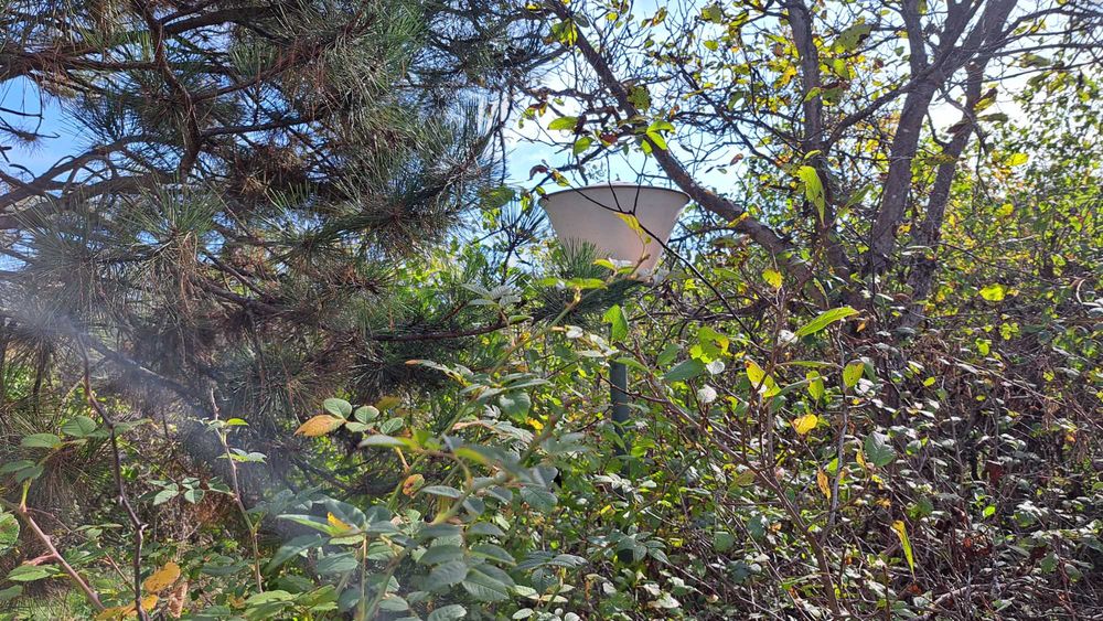 Продава се Къща в с. Владо Тричков, Област София-област - 30 кв.м за 1317 €/кв.м - Снимка #9