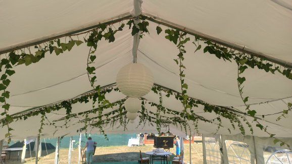 Cort Mese Scaune Becuri Farfurii Podea