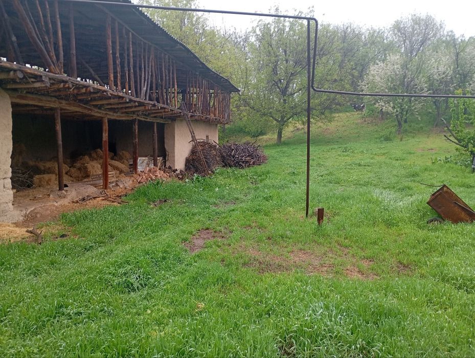 Паркент, Сукок йули Коракалпок. 20 сотых.