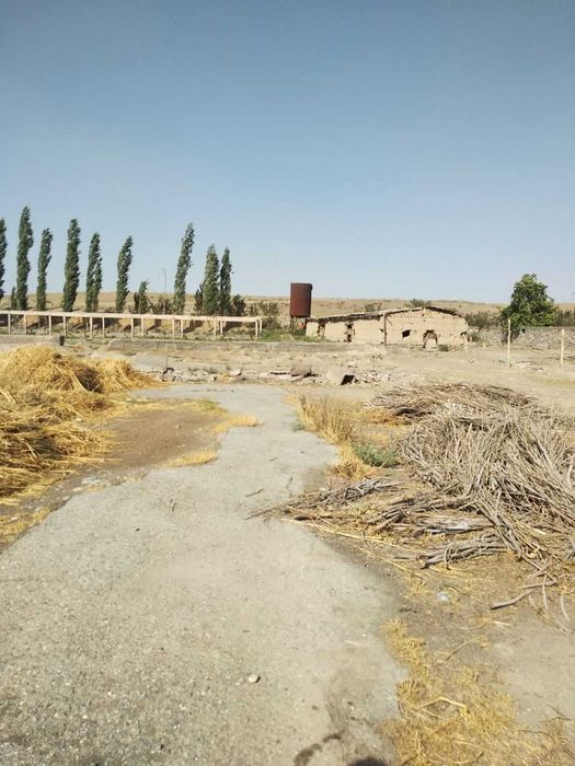 Хусусий ферма сотилади