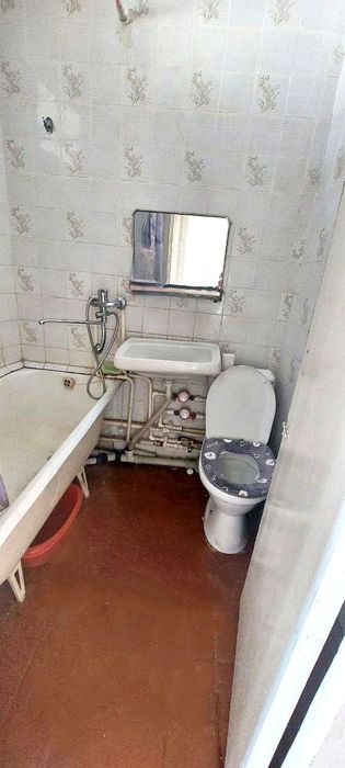 Мирзо Улугбек аренда семя и студентов