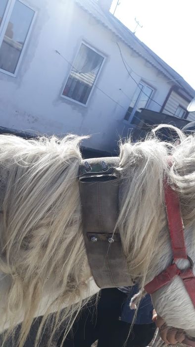 Gps спутниковое 6-7 айлық батарейкасымен