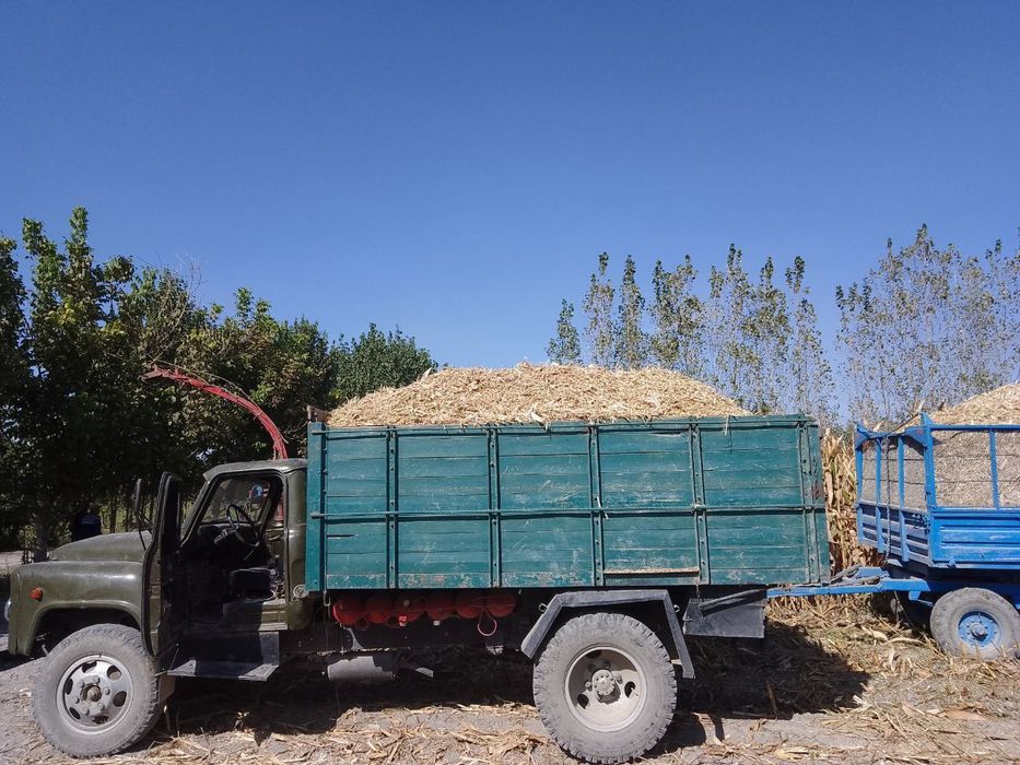 Gaz 53 holati zoʻr