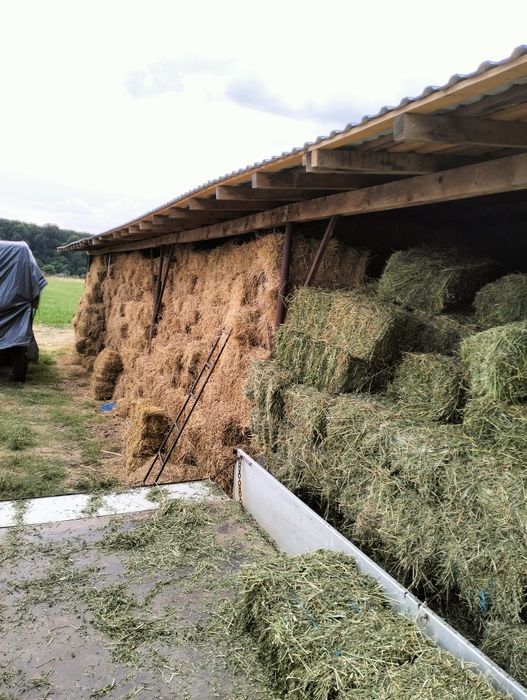 Baloti de lucerna si lucerna cu fin,iarba  și paie de grau