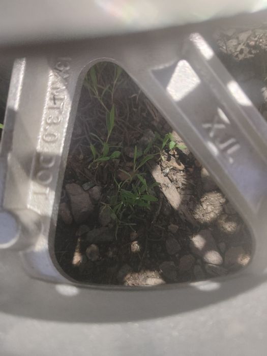 Продам колесо от мопеда