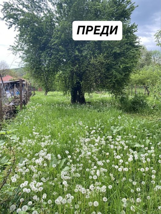 Косене и поддръжка на имоти