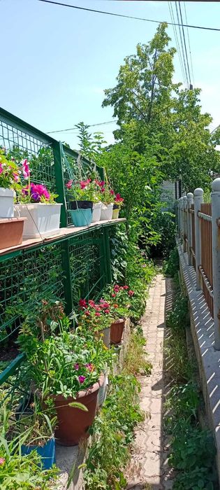 Продам дом в Коксае (Путь ИЛЬича)